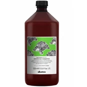 Davines Renewing atnaujinantis šampūnas, 1000 ml kaina