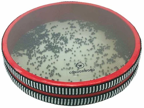Condorwood Vandenyno būgnas, 25cm
