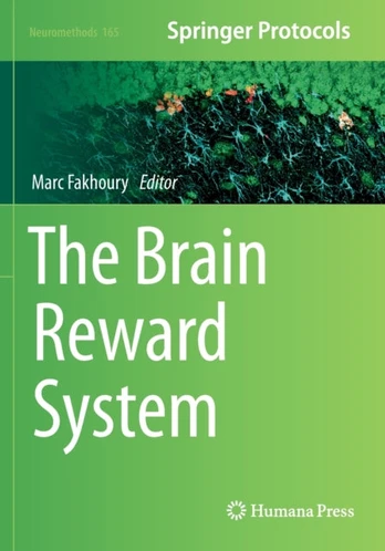 Brain Reward System