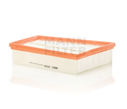 Oro filtras C2538