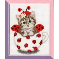 Kitten in the Cup S/NL039