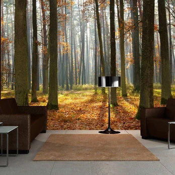 Artgeist Fototapetas - Autumn trees 300x231