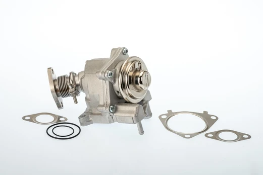 EGR vožtuvas WAHLER WA7631D/1