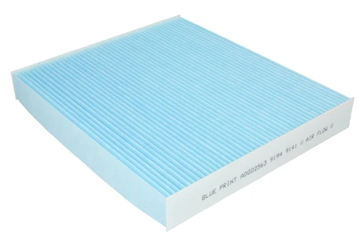 Salono filtras BLUE PRINT ADG02563