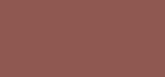 L'Oreal Colour Riche Blurred Matte Lipstick 4.3 g