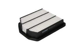 Oro filtras FILTRON AP177/8 kaina