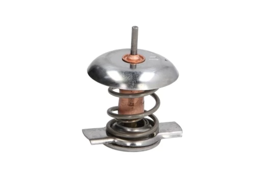 termostatas, aušinimo skystis THERMOTEC D2X007TT