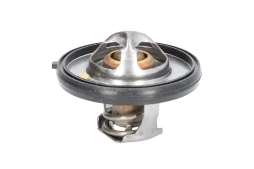 termostatas, aušinimo skystis MOTORAD 420-91K