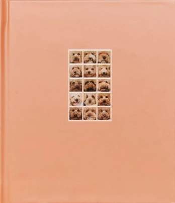 APRICOT POODLE