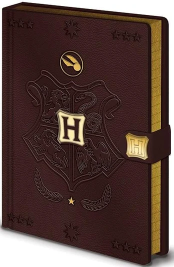 Pyramid Harry Potter Quidditch A5 užrašų knygutė