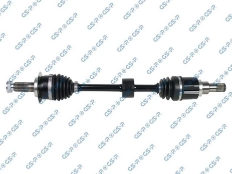 Pusašis GSP 257287OL