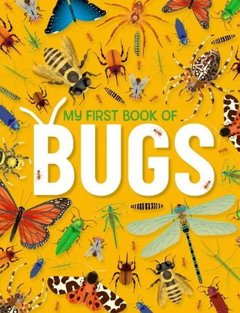 First Book of Bugs