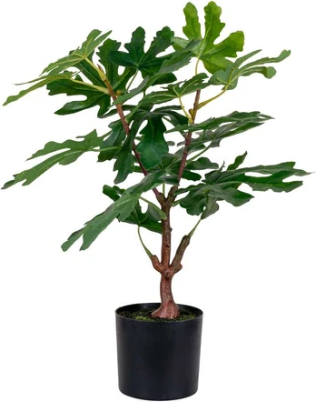 House Nordic Dirbtinis augalas - Figmedis - A:60 cm - Žalias