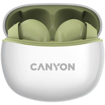 Ausinės Canyon TWS-5