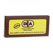 PARISIENNE DEA plaukų losjonas, 10 ml kaina