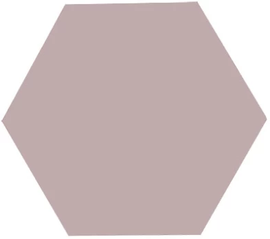 Stiklo valytuvas Blomus Vipo, satellite, 69200