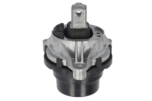 Variklio montavimas TEDGUM TED25318