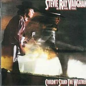 CD Stevie Ray Vaughan And Double Trouble* - Couldn't Stand The Weather