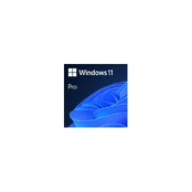 Software|MICROSOFT|Win 11 Pro GGK 64Bit Eng Intl 1pk DSP ORT OEI DVD|Win Pro|OEM|English|4YR-00316 kaina