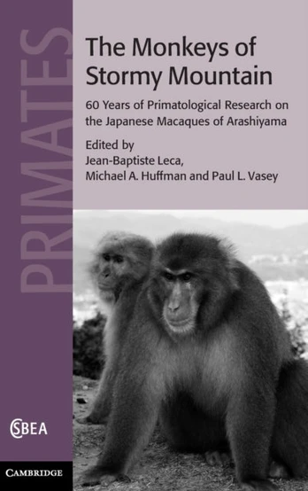 Monkeys of Stormy Mountain