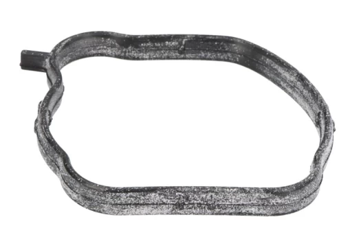Termostato tarpinė AJUSA AJU01338700
