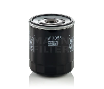 Tepalo filtras W7053