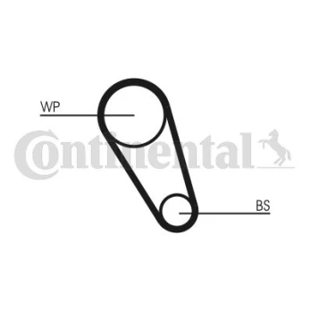 CONTI CT 1185 WP4 Timing kit (belt + water pump)