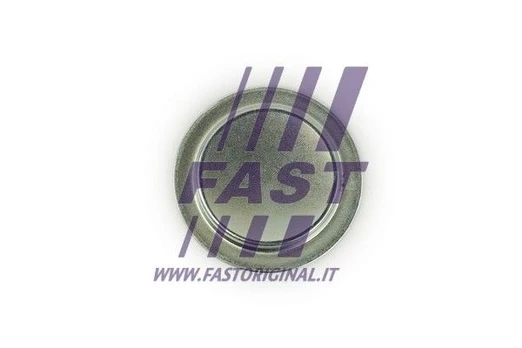 Užšalęs kaištis FAST FT49308