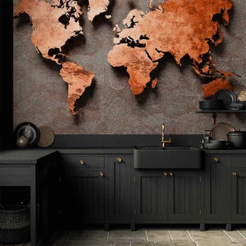 Artgeist Fototapetas - Copper Map