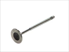 FRECCIA 6205/S Inlet valve kaina