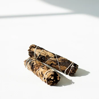 Juodasis šalavijas (15 cm)