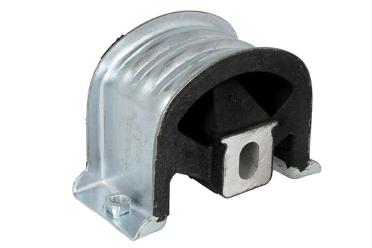 Variklio montavimas TEDGUM TED27181