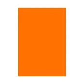 Spalvotas kartonas A1/160g oranžinis kaina