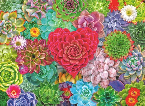 Ravensburger - Succulent Love - 500p (12001469)