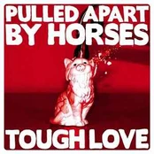 CD Pulled Apart By Horses - Tough Love