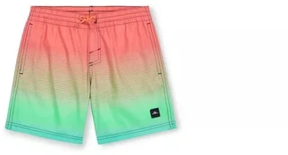 O'Neill Jack Cali Gradient 14'' maudymosi šortai Jr 92800613570