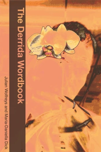 Derrida Wordbook