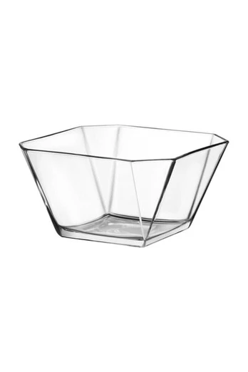 Salotinė Aster, 1,9 l