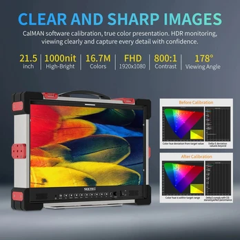 Monitorius Seetec P215 PRO-CO