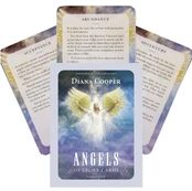 Angels Of Light kortos kaina