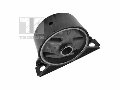Variklio montavimas TEDGUM 00282948