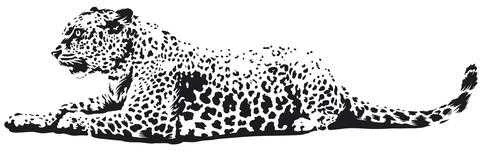 Interjero lipdukas Leopardas 170x50cm