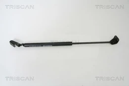 TRISCAN 871043222 Dujinė spyruoklė, bagažinė