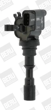 Ritė, uždegimas BorgWarner (BERU) ZS542