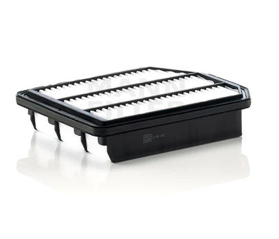 Oro filtras C26018