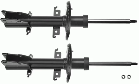 Amortizatorius TRW JGM1074T