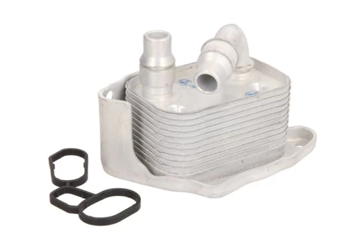 Alyvos radiatorius THERMOTEC D4B006TT