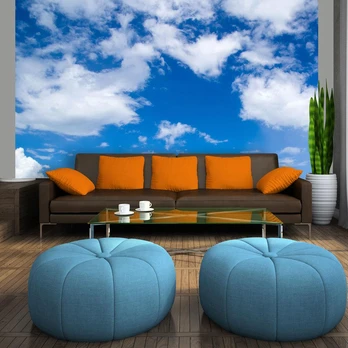 Artgeist Fototapetas - Under the sky 350x270