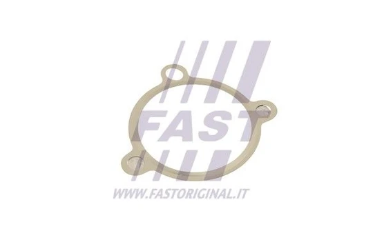Tarpiklis, EGR vožtuvas FAST FT50605