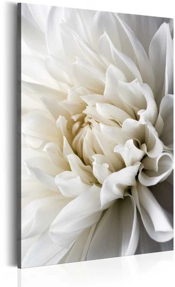 Artgeist Paveikslas - Baltas Dahlia